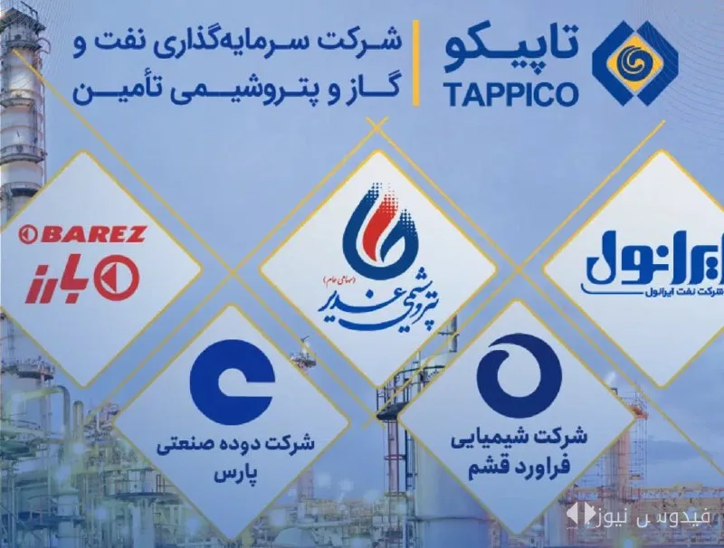 Management Crisis at Tapico; Suspension Due to Lack of Financial Transparency